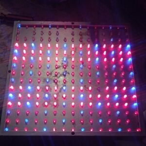 LED Light Panel with Red and Blue Lights